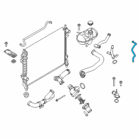 OEM Ford Mustang Reservoir Hose Diagram - FR3Z-8276-B