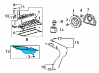 OEM 2020 Chevrolet Silverado 1500 Oil Pan Diagram - 55506665