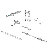 OEM Honda Accord Crosstour Oil Seal (40X56X9) (Nok) Diagram - 91201-PWT-003