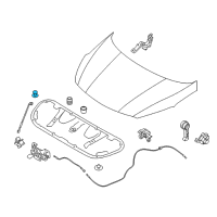 OEM 2021 Kia Sorento Cap-Nut Diagram - 655591S200