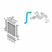 OEM Toyota Tundra Lower Hose Diagram - 16572-0F020