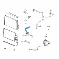 OEM 2000 Saturn LS2 Radiator Outlet Hose (Lower) Diagram - 90571378