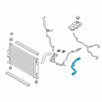 OEM 2019 Ford Transit Connect Upper Hose Diagram - KV6Z-8260-M