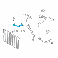 OEM BMW 750i Radiator Coolant Hose Lower Diagram - 17-12-7-594-451