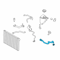 OEM BMW 750Li Reservoir Hose Diagram - 17-12-7-592-440