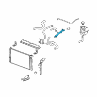 OEM 2010 Chevrolet Malibu Radiator Coolant Outlet Hose (Lower) Diagram - 25844699