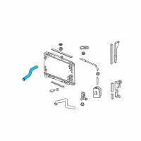 OEM Honda Ridgeline Hose, Water (Upper) Diagram - 19501-RJE-A01