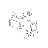 OEM Pontiac Filter Diagram - 10356437