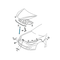 OEM 2005 Toyota Solara Support Cylinder Diagram - 53440-06210