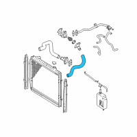 OEM 1997 Toyota Tacoma Lower Hose Diagram - 16572-0C011