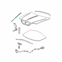 OEM 2004 Lincoln LS Lift Cylinder Diagram - 1W4Z-16C826-BA