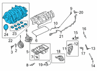 OEM 2021 Ford F-150 MANIFOLD ASY - INLET Diagram - ML3Z-9424-B