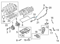 OEM 2021 Ford F-150 TUBE - OIL LEVEL INDICATOR Diagram - ML3Z-6754-A