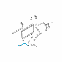 OEM 2002 Nissan Frontier Hose-Flexible Diagram - 21632-7B400