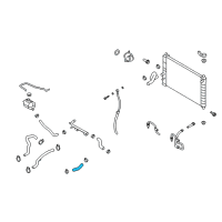 OEM 2005 Chevrolet Aveo Upper Hose Diagram - 96536532