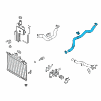 OEM Toyota Yaris Lower Hose Diagram - 16572-WB002