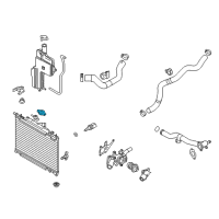 OEM Toyota Yaris Radiator Cap Diagram - 16401-WB001