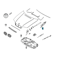 OEM BMW 330xi Engine Hood Mechanism Diagram - 51-23-8-208-442