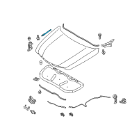 OEM 2015 Hyundai Sonata LIFTER-Hood, LH/RH Diagram - 81161-3S000--DS