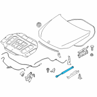 OEM BMW 750Li Gas-Filled Strut, Bonnet, Passive Diagram - 51-23-7-289-753