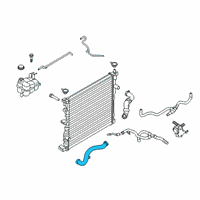 OEM Ford Police Interceptor Utility Lower Hose Diagram - L1MZ-8286-L