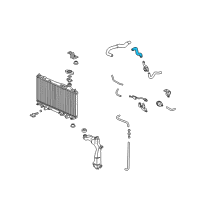 OEM 2003 Honda Civic Hose, Water (Lower) (B) Diagram - 19504-PZA-000