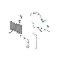 OEM 2005 Honda Civic Hose, Water (Lower) (A) Diagram - 19502-PZA-000