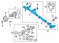 OEM Ford F-150 Tube Assembly Diagram - JL3Z-8555-C