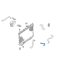 OEM 2000 Nissan Altima Hose-Auto Transmission Oil Cooler Diagram - 21632-0Z800