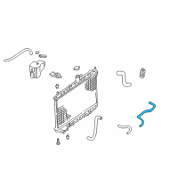 OEM 2001 Nissan Altima Hose-Auto Transmission Oil Cooler Diagram - 21631-0Z800