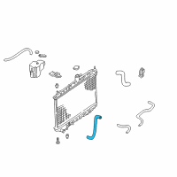 OEM 1998 Nissan Altima Hose-Radiator, Lower Diagram - 21503-9E000