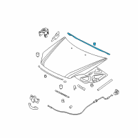 OEM 2007 Kia Optima Weatherstrip Assembly-Hood Diagram - 864302G000