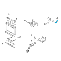 OEM Lexus GS460 Hose, Radiator, NO.1 Diagram - 16571-38070