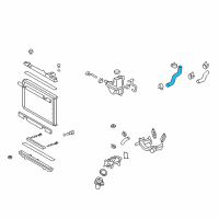 OEM 2014 Lexus IS F Hose, Radiator, NO.2 Diagram - 16572-38121