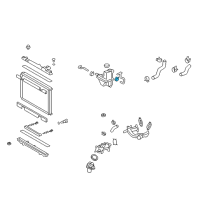 OEM 2009 Lexus IS F Clip, Hose Diagram - 96137-41701