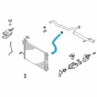 OEM 2015 Kia Sorento Hose-Radiator Lower Diagram - 254122P800