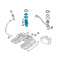 OEM 2017 BMW X6 Fuel Pump In Tank Pump And Filter Diagram - 16-11-7-403-906