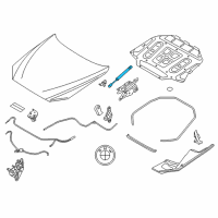 OEM 2016 BMW 535i xDrive Gas-Filled Strut, Engine-Compartment Lid Diagram - 51-23-7-309-119