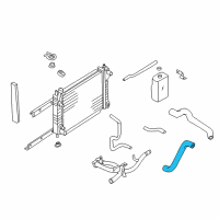 OEM 1999 Nissan Quest Hose Lower Diagram - 21503-0B701