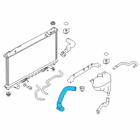 OEM 2021 Infiniti Q60 Hose-Radiator, Lower Diagram - 21503-5CA1B