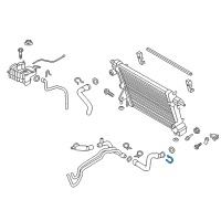 OEM 2020 Ford F-250 Super Duty Lower Pipe Diagram - HC3Z-8286-B