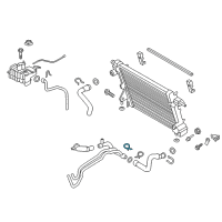 OEM 2017 Ford F-350 Super Duty Reservoir Diagram - HC3Z-8A080-D