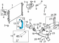 OEM 2020 Ford Mustang Lower Hose Diagram - KR3Z-8286-A