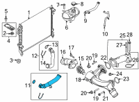 OEM 2021 Ford Mustang Upper Hose Diagram - KR3Z-8260-A