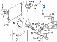 OEM 2022 Ford Mustang Overflow Hose Diagram - KR3Z-8C362-B