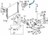 OEM 2021 Ford Mustang Reservoir Hose Diagram - KR3Z-8K276-A