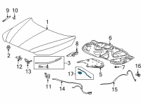 OEM Acura REMOTE WIRE, HOOD Diagram - 74140-TYA-A01