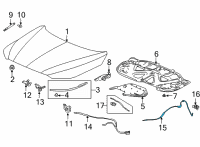 OEM Acura Wire Assembly, Rear Hood Diagram - 74132-TYA-A01
