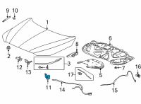 OEM Acura MDX Lock Assembly L, Hood Diagram - 74170-TYA-A02