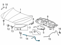 OEM Acura MDX Wire Assembly, Front Hood Diagram - 74131-TYA-A01